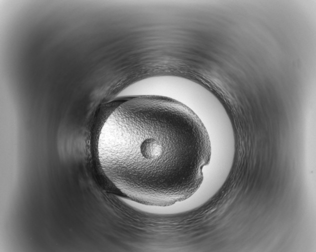 X0000096430547200801311434