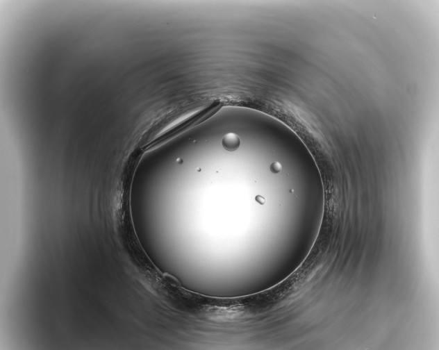 X0000096430548200801311434