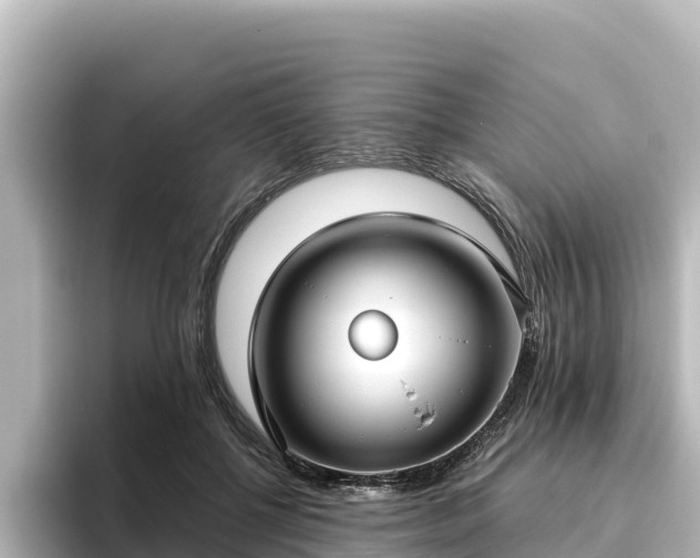 X0000096430552200801311434