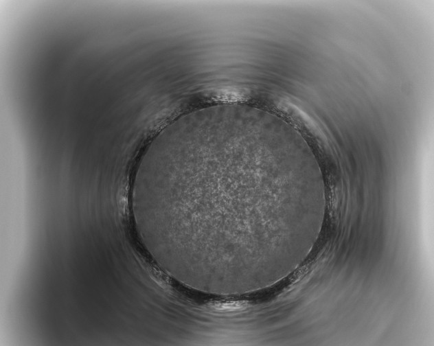 X0000096430553200801311434