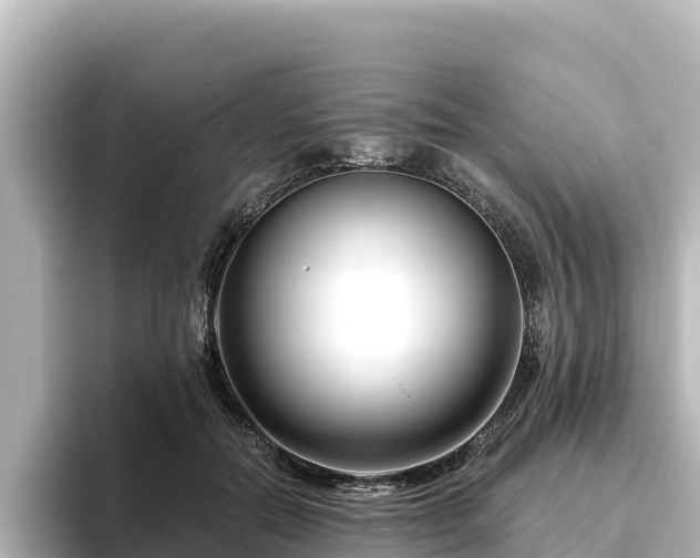 X0000096430554200801311434