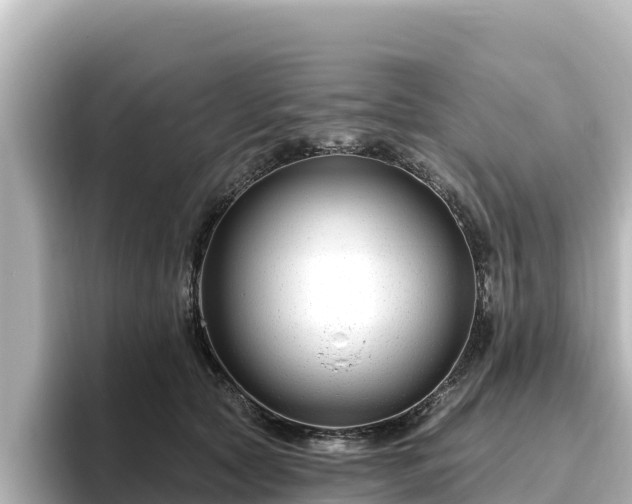 X0000096430561200801311434