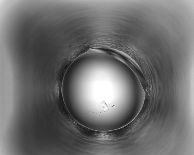 X0000096430562200801311434