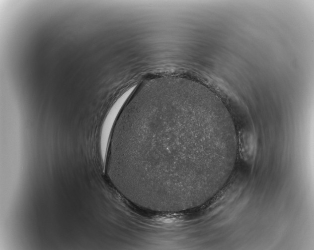 X0000096430563200801311434