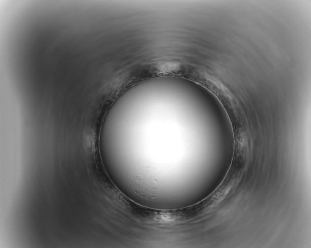 X0000096430565200801311435