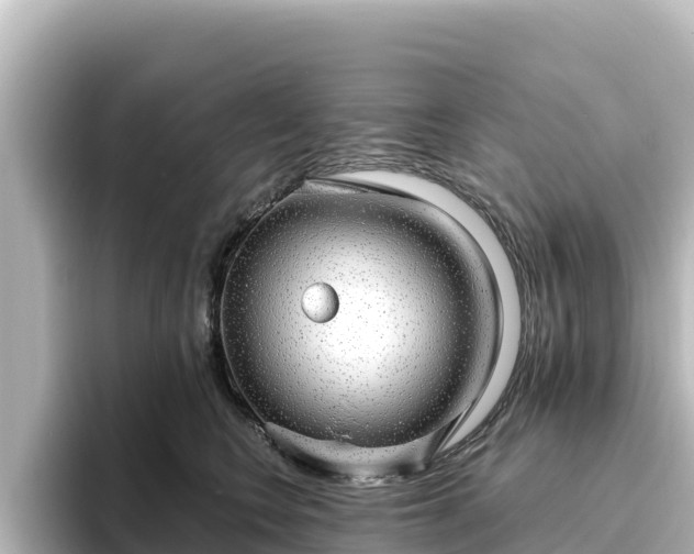 X0000096430566200801311435