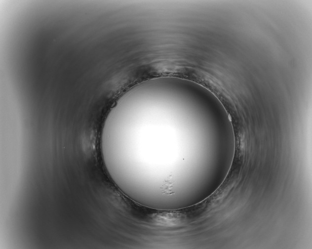 X0000096430567200801311435