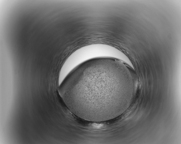 X0000096430570200801311435
