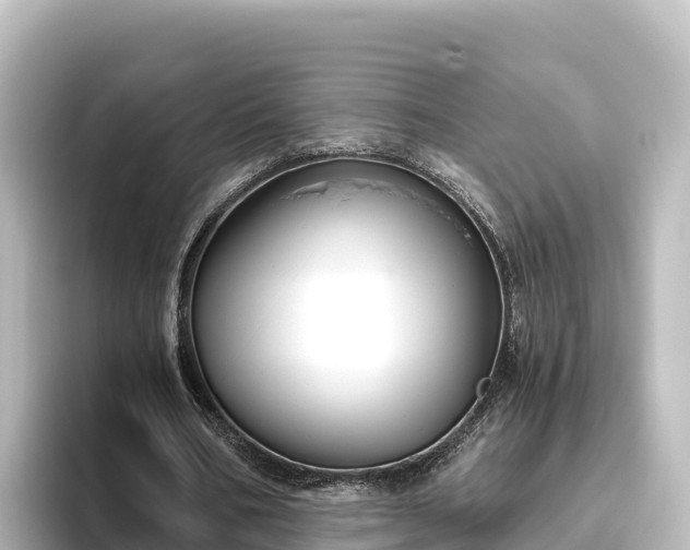 X0000096430578200801311434