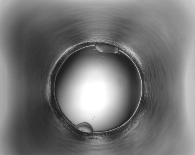X0000096430580200801311434