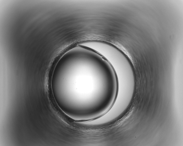 X0000096430581200801311434