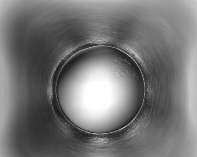X0000096430582200801311434
