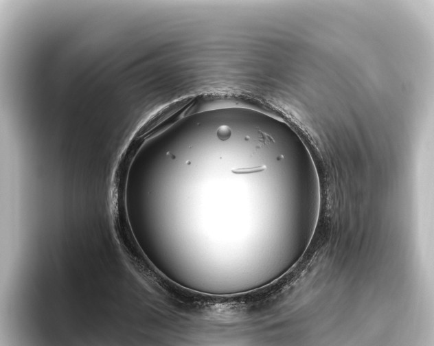 X0000096430584200801311434