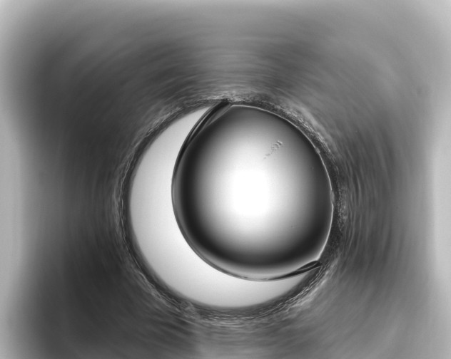 X0000096430585200801311434