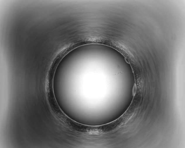 X0000096430587200801311434