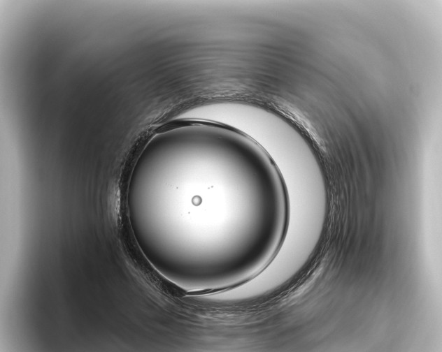 X0000096430589200801311434