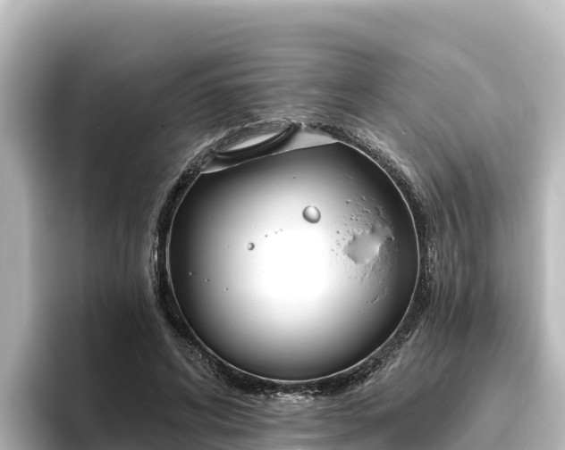 X0000096430592200801311434