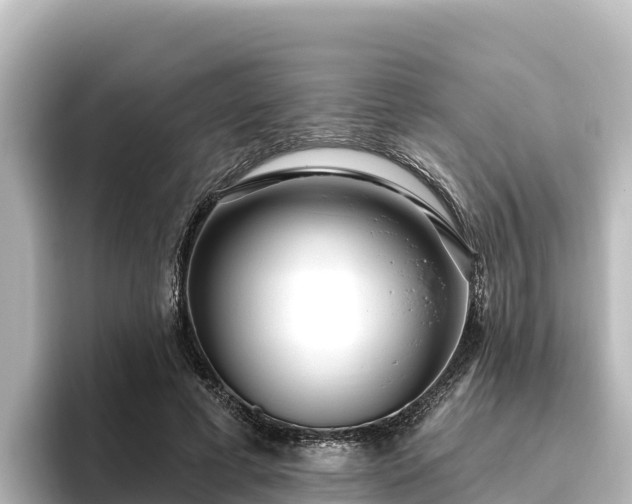 X0000096430593200801311434