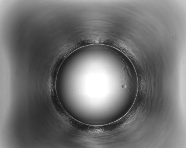 X0000096430594200801311434
