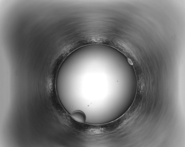X0000096430595200801311434