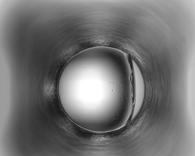 X0000096430597200801311434