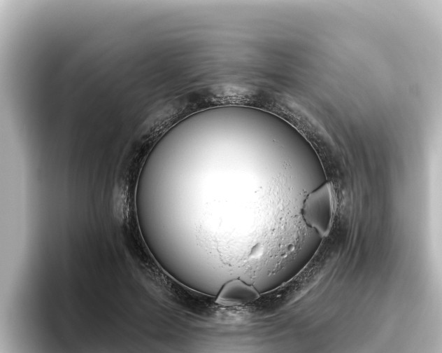 X0000096430599200801311434