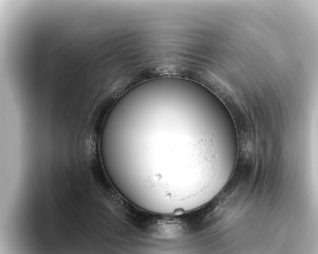 X0000096430603200801311434