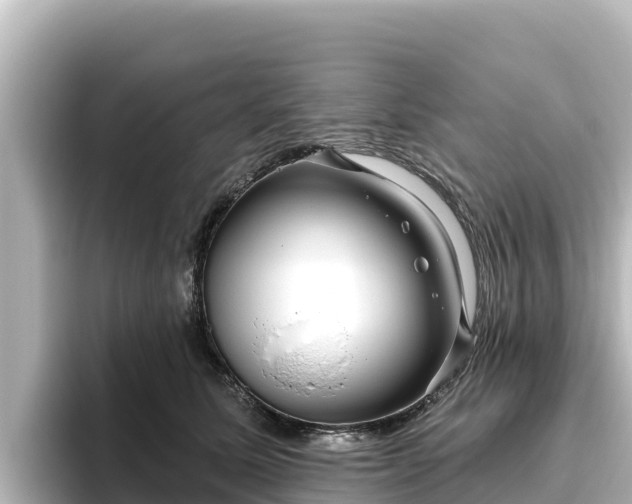 X0000096430611200801311434
