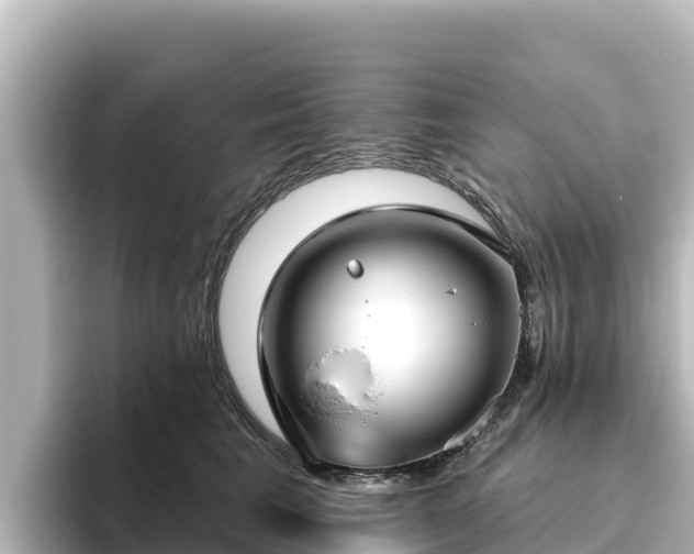 X0000096430613200801311434