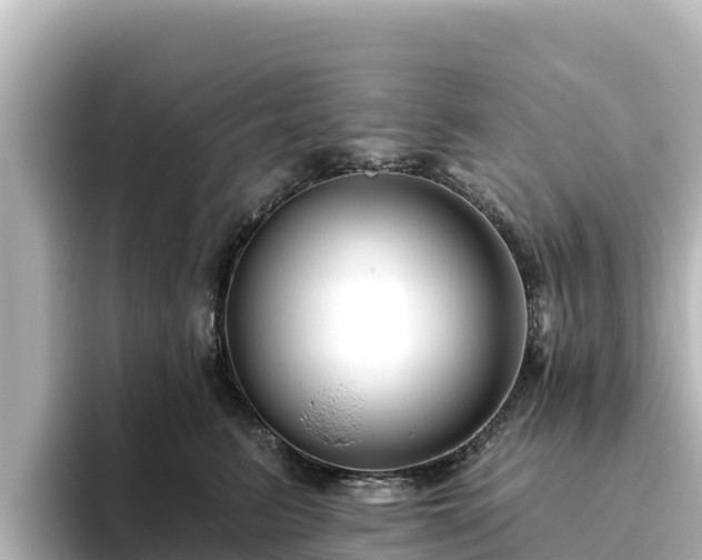 X0000096430615200801311434
