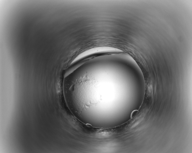X0000096430620200801311433