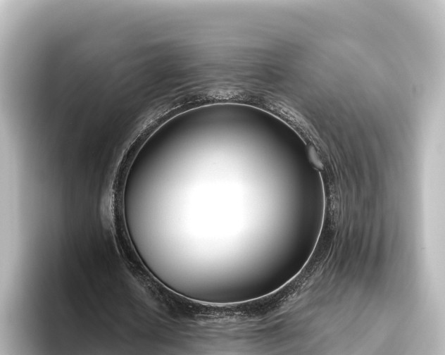 X0000096430626200801311433