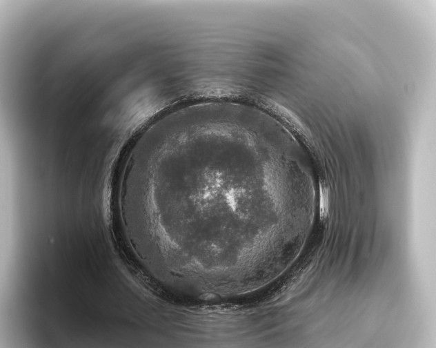 X0000096430627200801311433