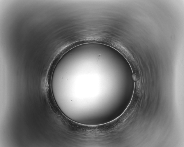 X0000096430628200801311433