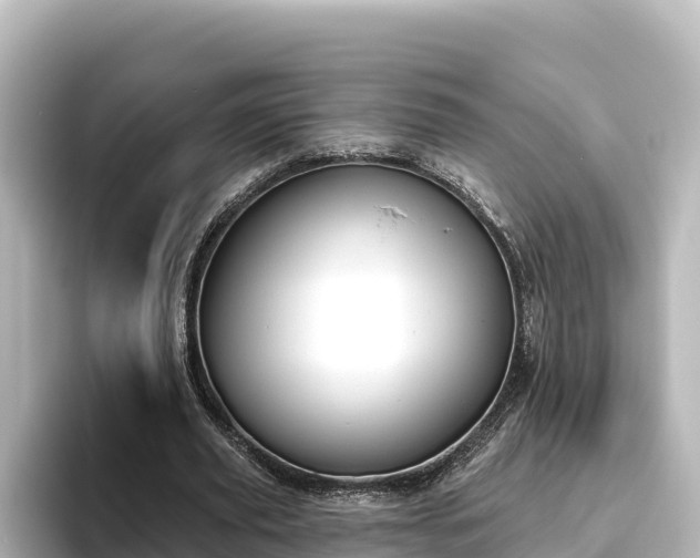 X0000096430629200801311433