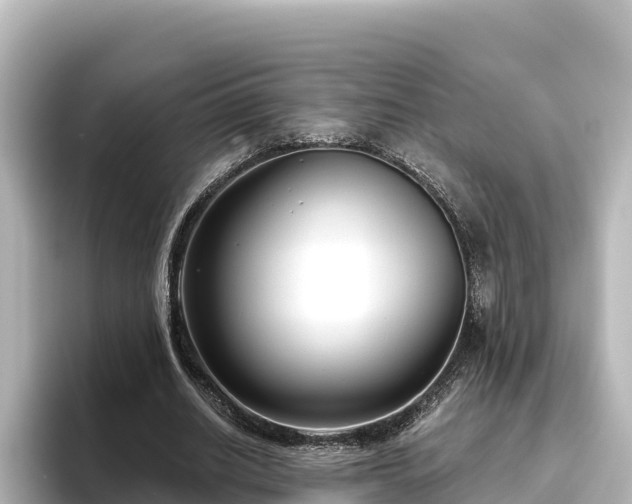 X0000096430630200801311433