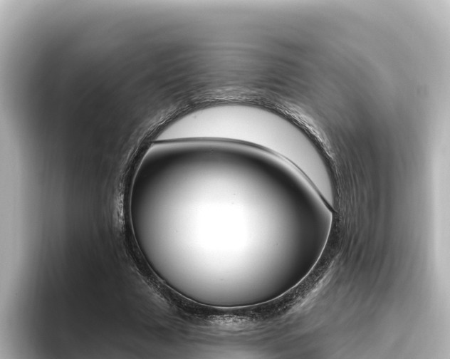 X0000096430633200801311433