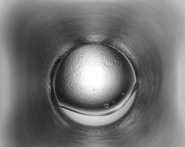 X0000096430634200801311433