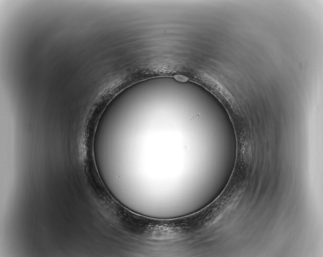 X0000096430635200801311433