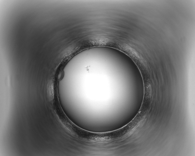 X0000096430638200801311433