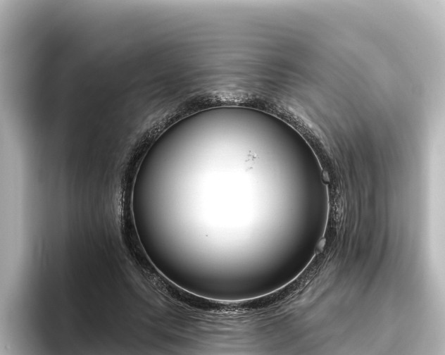 X0000096430639200801311433