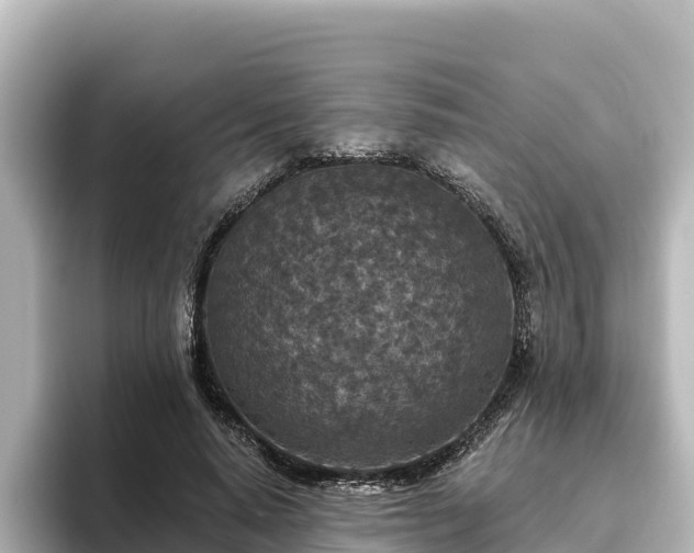 X0000096430640200801311433