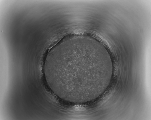X0000096430641200801311433