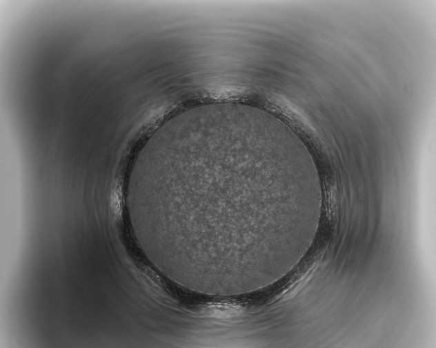X0000096430644200801311433