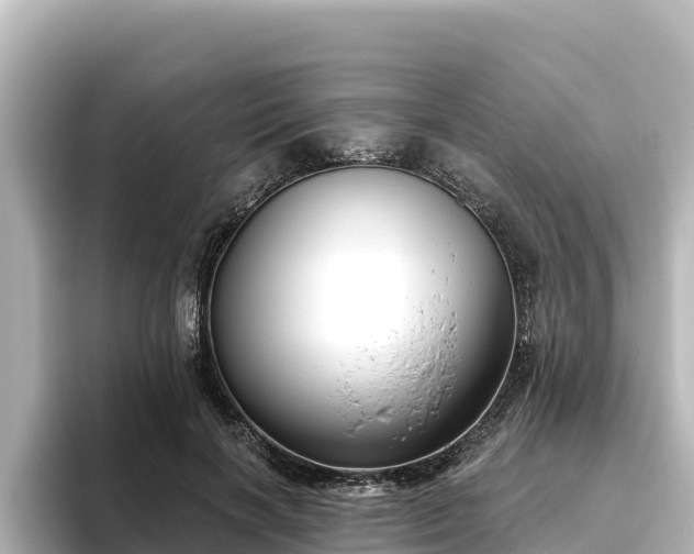 X0000096430646200801311433