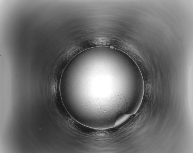 X0000096430652200801311433