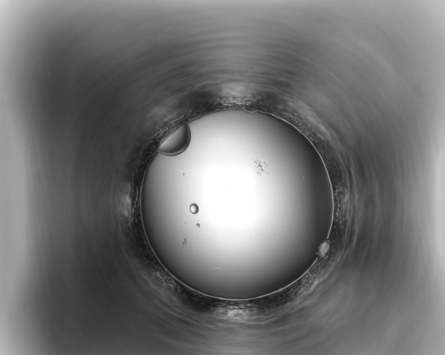 X0000096430655200801311433