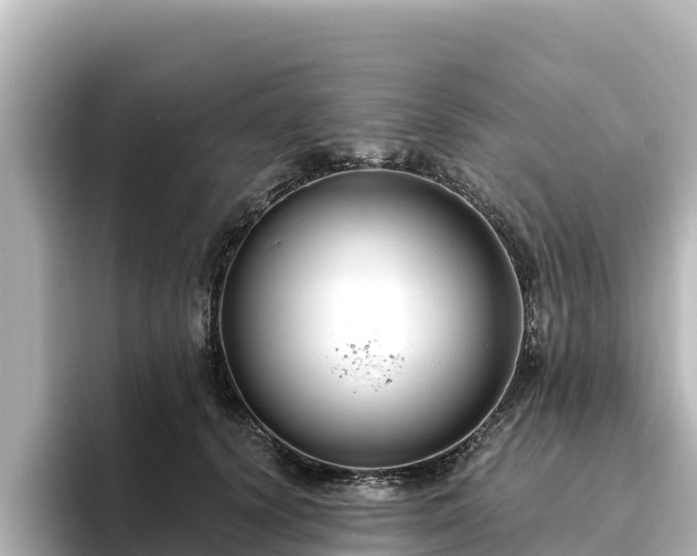 X0000096430656200801311433