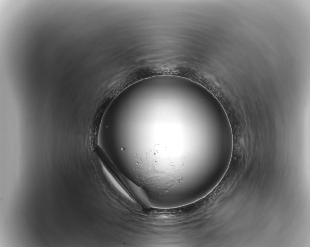 X0000096430658200801311433