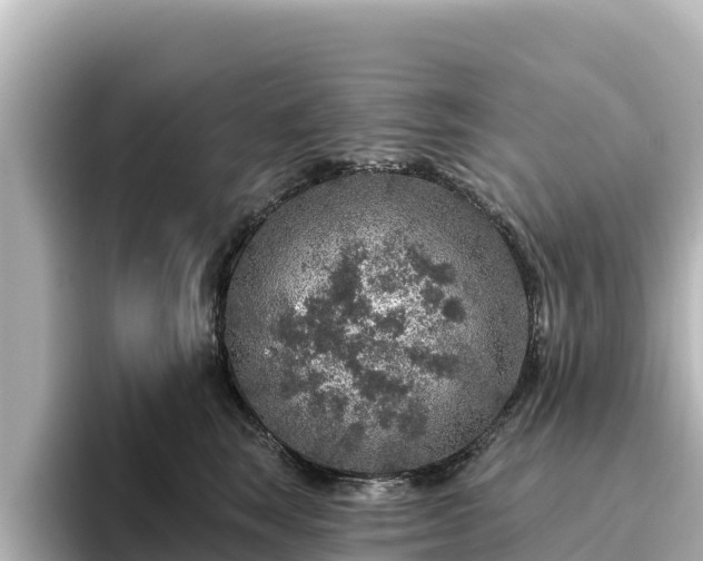 X0000096430663200801311433